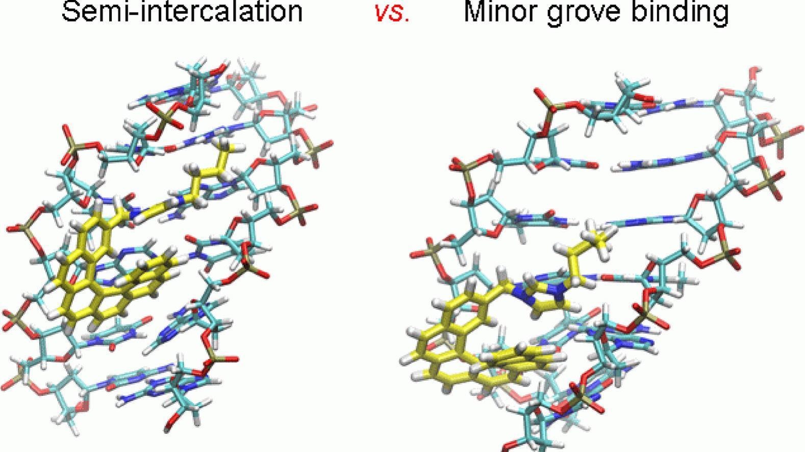 DNA-binding