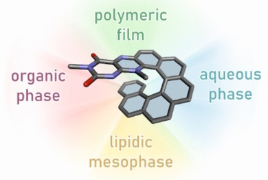 Flavin-Helicene Amphiphilic Hybrids